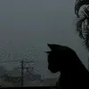 ilovethesilence0