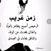 user8101844005813