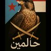 sakr.askerali.aln