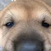 anhchangsetboyk18