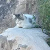 ceylinn_060