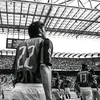 ox_g23