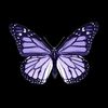 user1851798191678