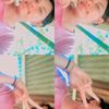 ria3676