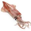 ika_hoshuha