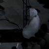 موسَىٰ