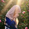 mpau_law345