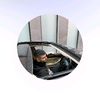 user6188133267743