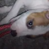 nala58765