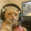 o_xlll1