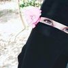 nour.lahmone