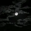 mosa__109