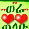 user9513101621001