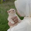 kaneez.e.zahra154