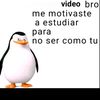 angelgarnica683