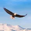 tayeb.morad