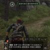 southernpalace7