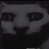 moonluolc9g