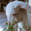 zeinab6574