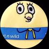 nugget12146