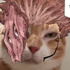 catkuna.og