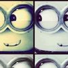 mallotnyoo