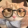 hung_traz