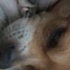 santino_asmr12
