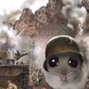 un_random_1122