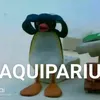.o.calica.vd