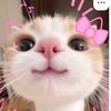 hllo_ini.grill00