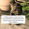 ahm4d_rd