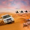 Desert safari Dubai