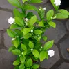 alanoud.alhajry76