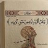 ali.hrpy.369