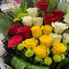 amonah702