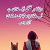 muhammad.kamran2029