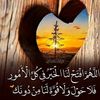 user4031810209104