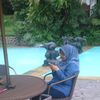 andari3829