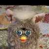 furby412