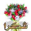 user88678024673183