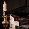 thebookishsomm