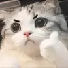 chucemhanhphich