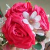 ashty.molla