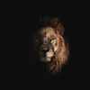 karim.abdullah15