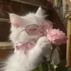 chatkati.kosmitik