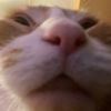 olivers.account3