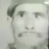 kurdis371