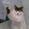 allhailkitler3