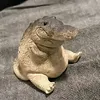 bbshka77